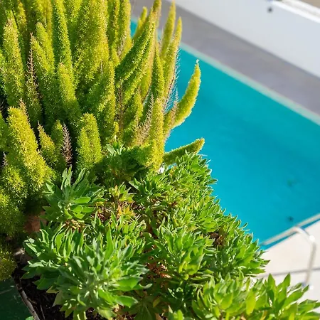 Stunning Seaview In Torreblanca Private Pool By Costarentals - Ref 110 Fuengirola